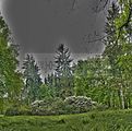 tannenfeld-sommer 2012-082